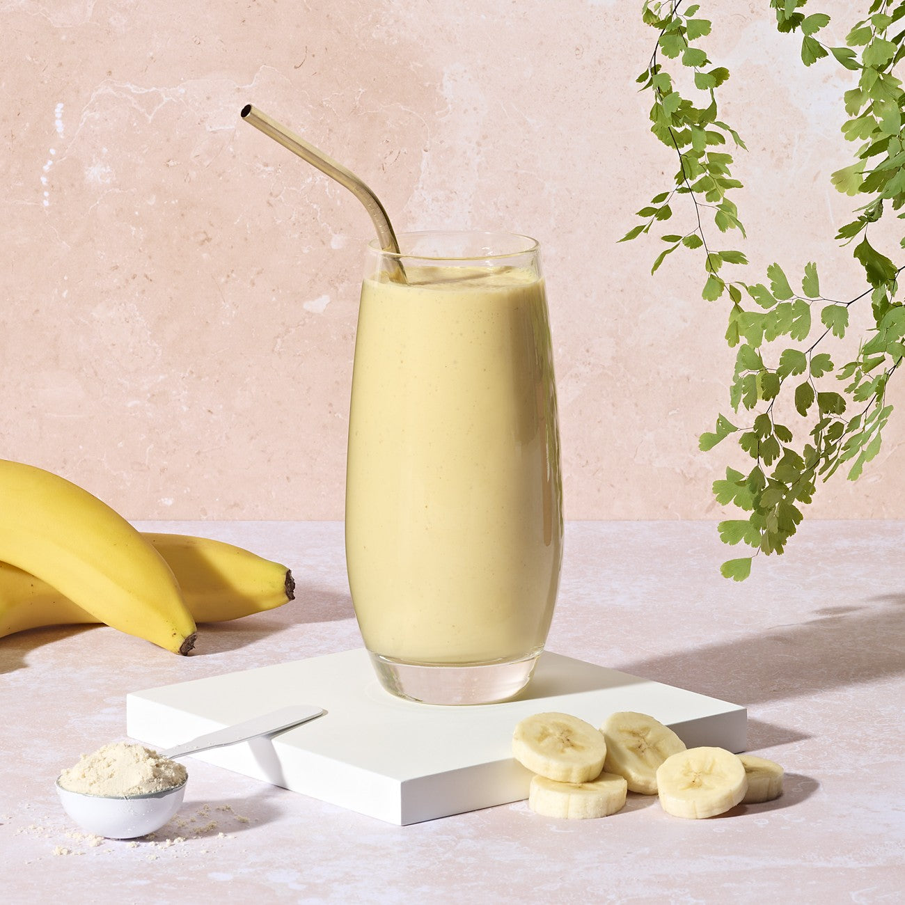 Formula 1 Shake Mix Nutritiv