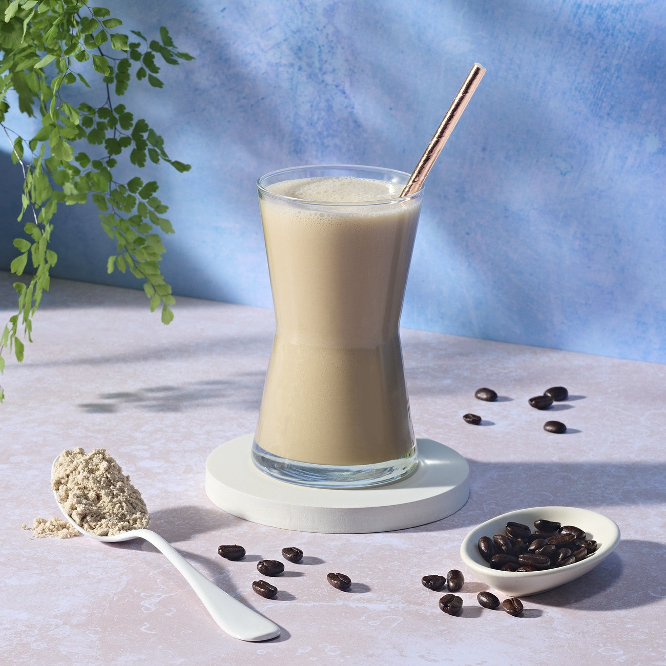Formula 1 Shake Mix Nutritiv