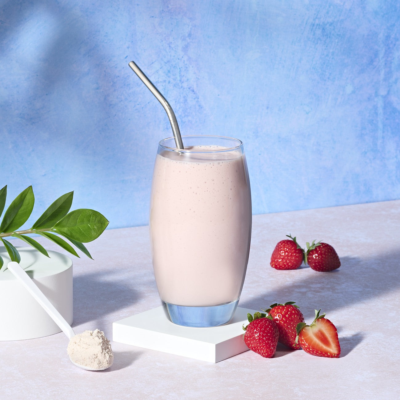 Formula 1 Shake Mix Nutritiv